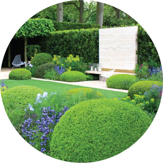 Dịch vụ cây xanh